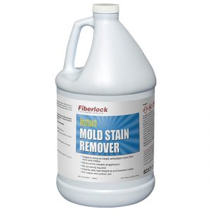 Instant Stain Remover